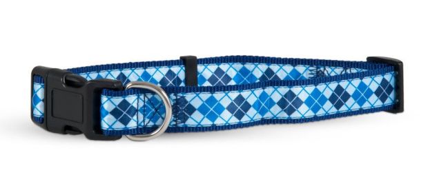 Aspen Ribbon Overlay Adjustable Dog Collar Blue 1ea/5/8In X 10-14 in, SM