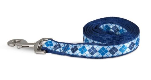 Aspen Ribbon Overlay Dog Leash Blue 1ea/1 In X 6 ft, One Size