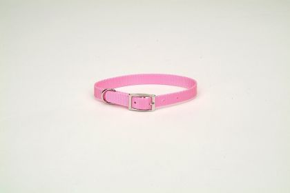 Coastal Single-Ply Nylon Dog Collar Pink Bright 1ea/3/4 In X 18 in
